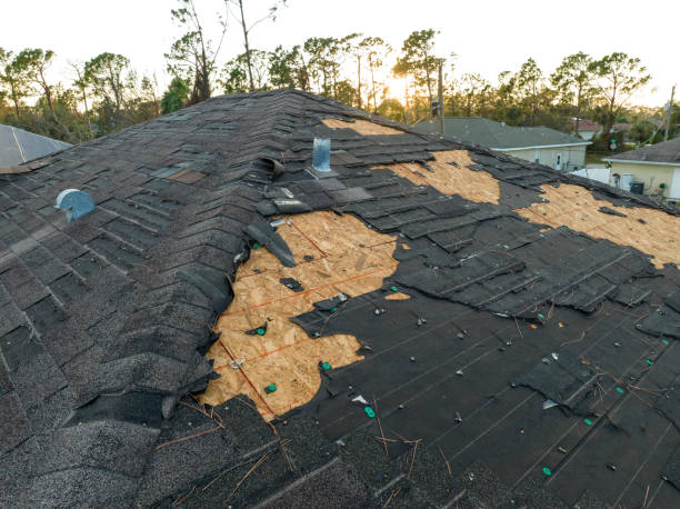 Best Asphalt Shingle Roofing  in Lattingtown, NY
